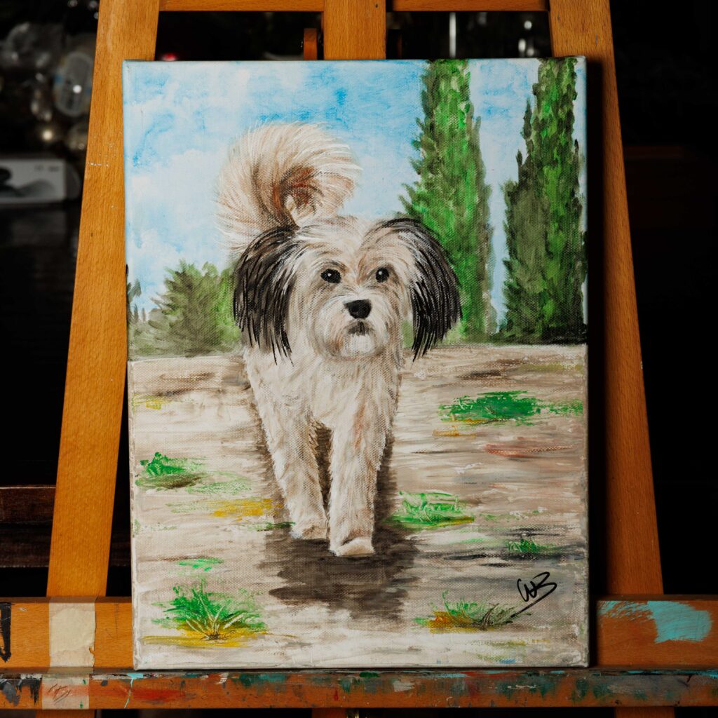 Lief Spaans hondje Luca